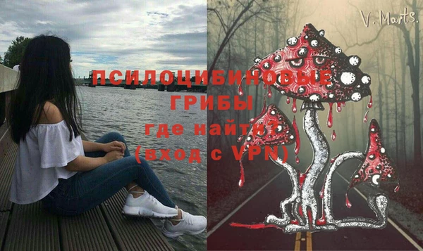 экстази Киреевск